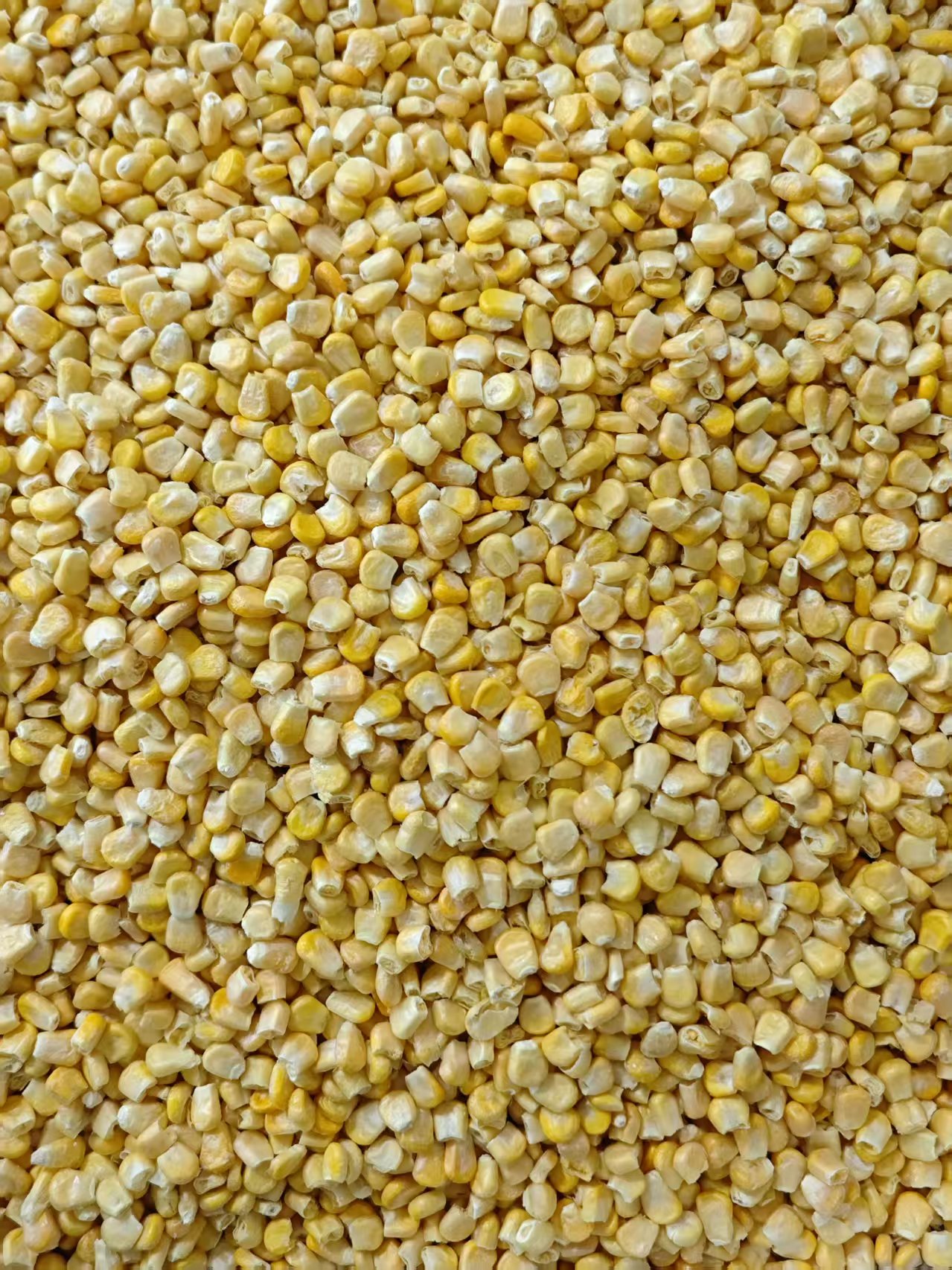 Freeze-Dried Corn