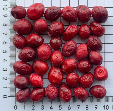 Freeze-dried cranberries