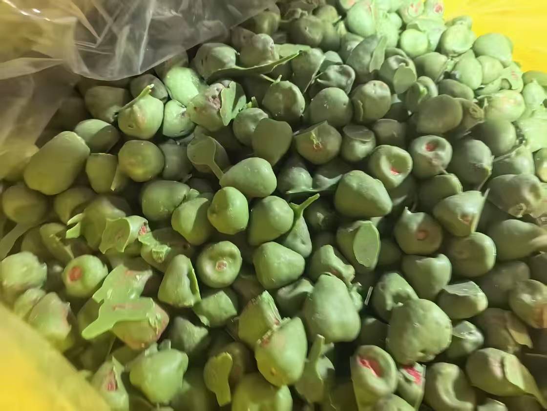 Freeze Dried Strawberry whole with matcha flavor coating