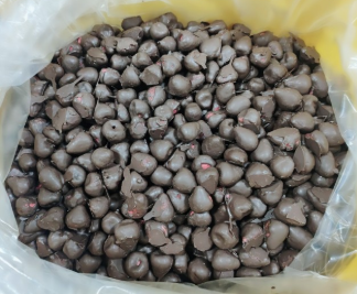Freeze Dried Strawberry whole with chocolate flavor coating