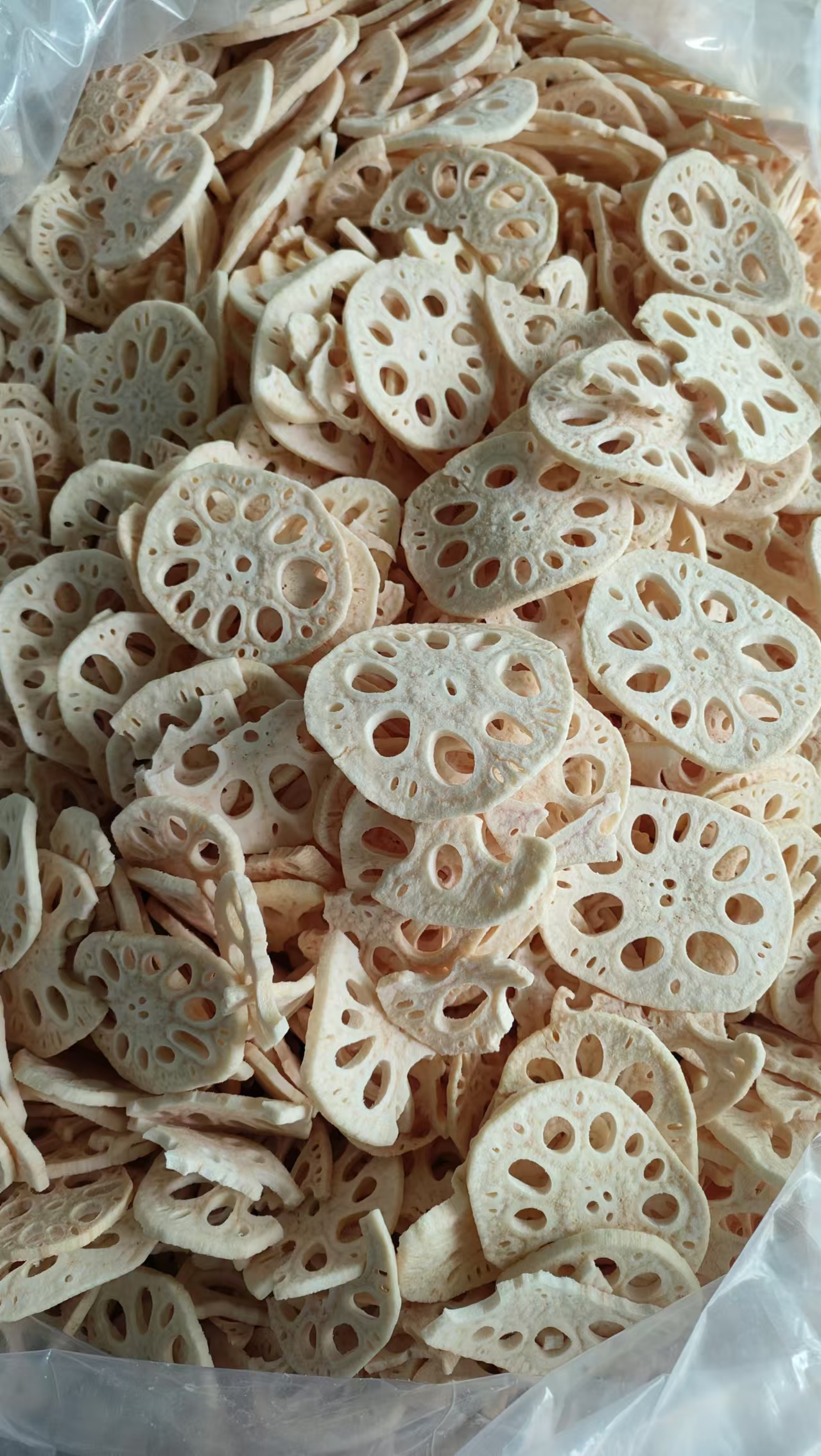 VF lotus root slices
