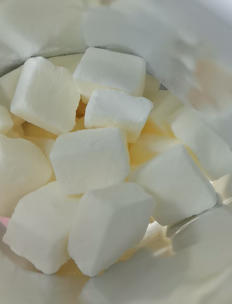 Freeze-dried ice cream with valinia flavor